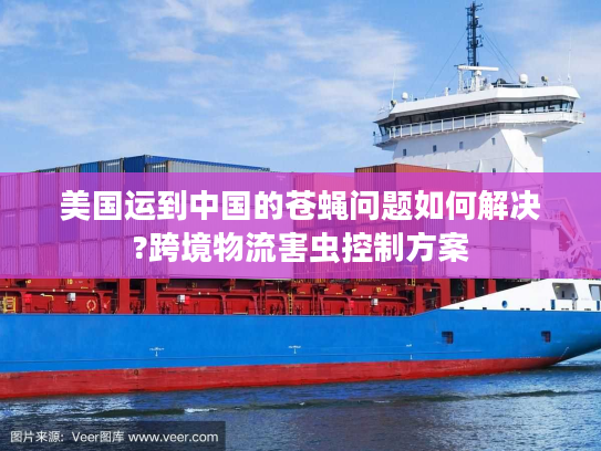 美国运到中国的苍蝇问题如何解决?跨境物流害虫控制方案