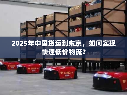 2025年中国货运到东京，如何实现快速低价物流？