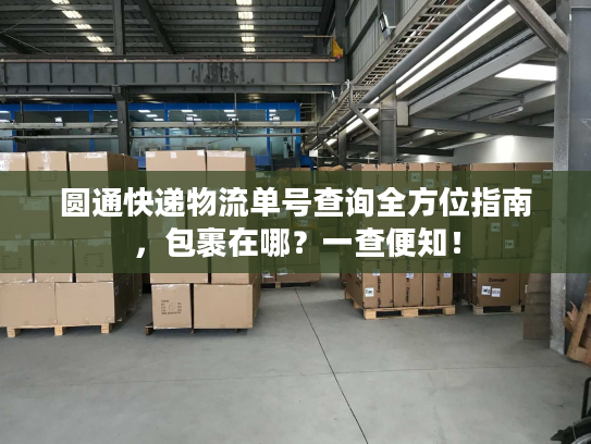 圆通快递物流单号查询全方位指南，包裹在哪？一查便知！