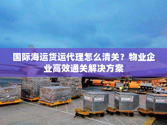 国际海运货运代理怎么清关？物业企业高效通关解决方案