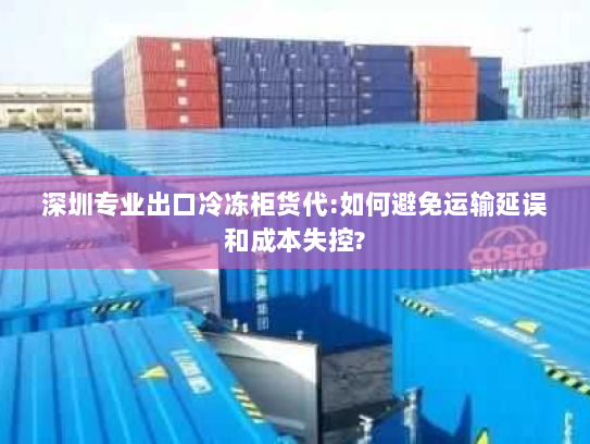 深圳专业出口冷冻柜货代:如何避免运输延误和成本失控?