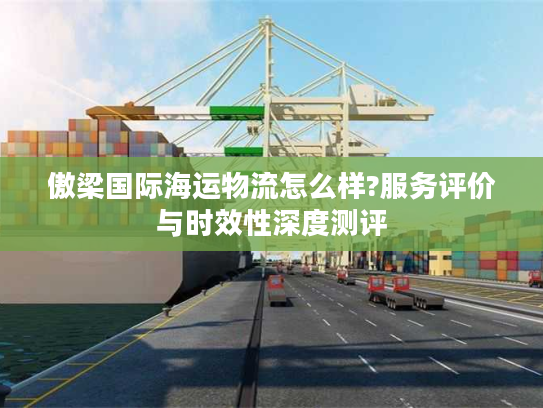 傲梁国际海运物流怎么样?服务评价与时效性深度测评