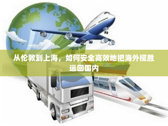 从伦敦到上海，如何安全高效地把海外揽胜运回国内