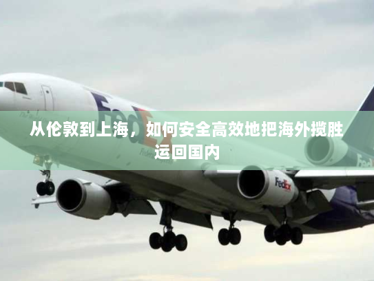 从伦敦到上海，如何安全高效地把海外揽胜运回国内