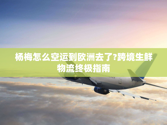 杨梅怎么空运到欧洲去了?跨境生鲜物流终极指南