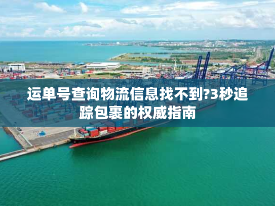 运单号查询物流信息找不到?3秒追踪包裹的权威指南