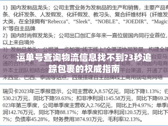 运单号查询物流信息找不到?3秒追踪包裹的权威指南