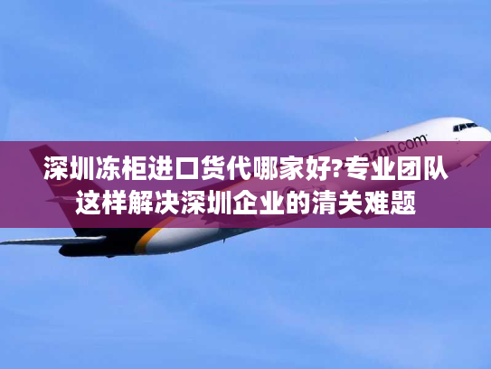 深圳冻柜进口货代哪家好?专业团队这样解决深圳企业的清关难题 深圳冻柜进口货代哪家好?专业团队这样解决深圳企业的清关难题