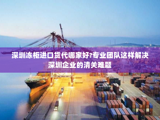 深圳冻柜进口货代哪家好?专业团队这样解决深圳企业的清关难题