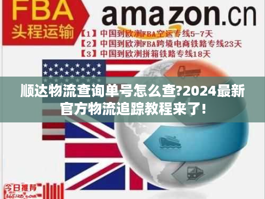 顺达物流查询单号怎么查?2024最新官方物流追踪教程来了!