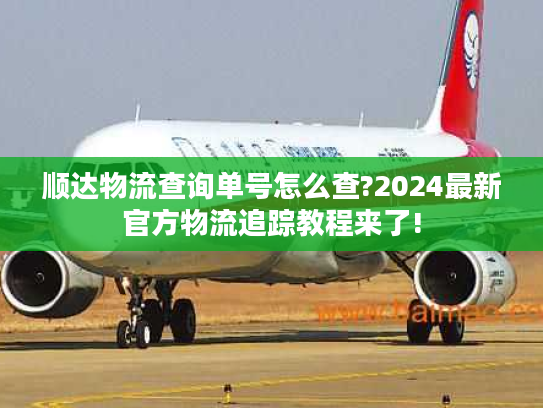 顺达物流查询单号怎么查?2024最新官方物流追踪教程来了!