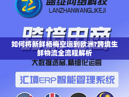 如何将新鲜杨梅空运到欧洲?跨境生鲜物流全流程解析