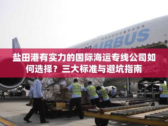 盐田港有实力的国际海运专线公司如何选择？三大标准与避坑指南