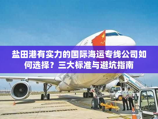 盐田港有实力的国际海运专线公司如何选择？三大标准与避坑指南