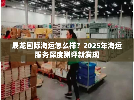 晟龙国际海运怎么样？2025年海运服务深度测评新发现