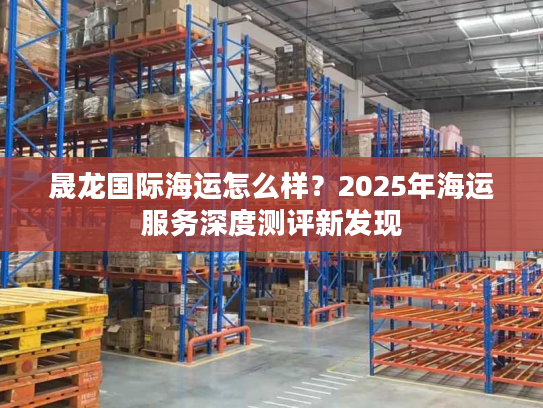 晟龙国际海运怎么样？2025年海运服务深度测评新发现