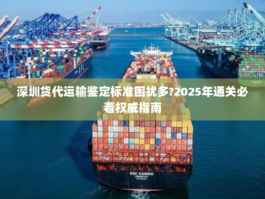 深圳货代运输鉴定标准困扰多?2025年通关必看权威指南 深圳货代运输鉴定标准困扰多?2025年通关必看权威指南