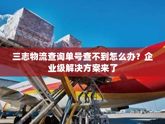 三志物流查询单号查不到怎么办?企业级解决方案来了 三志物流查询单号查不到怎么办?企业级解决方案来了