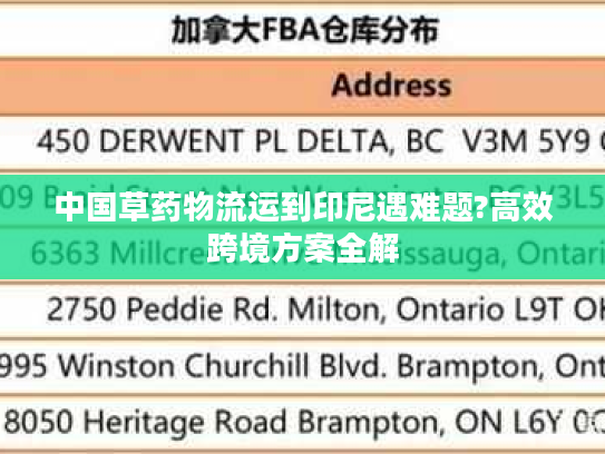 中国草药物流运到印尼遇难题?高效跨境方案全解