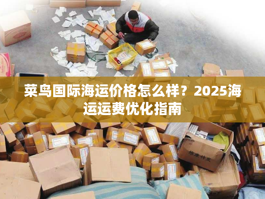 菜鸟国际海运价格怎么样？2025海运运费优化指南