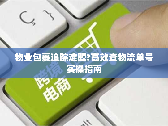 物业包裹追踪难题?高效查物流单号实操指南 物业包裹追踪难题?高效查物流单号实操指南