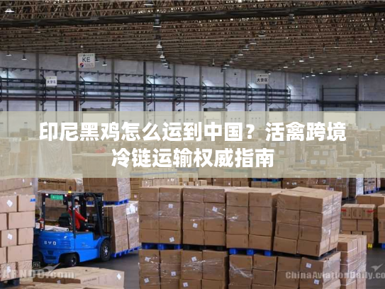 印尼黑鸡怎么运到中国？活禽跨境冷链运输权威指南