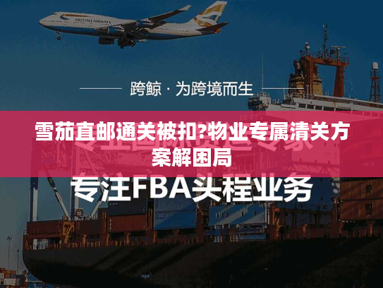 雪茄直邮通关被扣?物业专属清关方案解困局