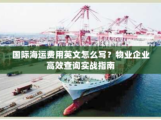 国际海运费用英文怎么写?物业企业高效查询实战指南 国际海运费用英文怎么写?物业企业高效查询实战指南