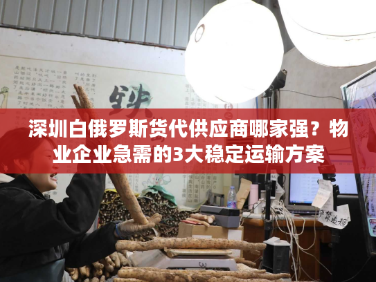 深圳白俄罗斯货代供应商哪家强?物业企业急需的3大稳定运输方案 深圳白俄罗斯货代供应商哪家强?物业企业急需的3大稳定运输方案