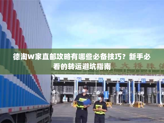 德淘W家直邮攻略有哪些必备技巧?新手必看的转运避坑指南 德淘W家直邮攻略有哪些必备技巧?新手必看的转运避坑指南