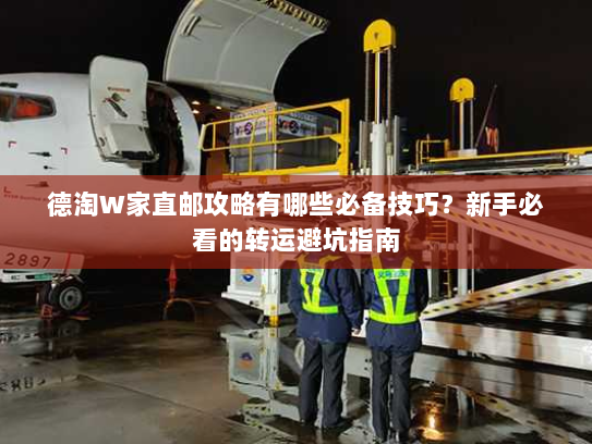 德淘W家直邮攻略有哪些必备技巧?新手必看的转运避坑指南 德淘W家直邮攻略有哪些必备技巧?新手必看的转运避坑指南