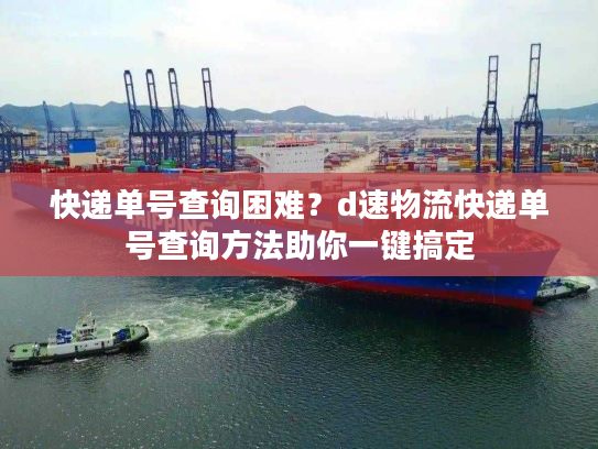 快递单号查询困难？d速物流快递单号查询方法助你一键搞定