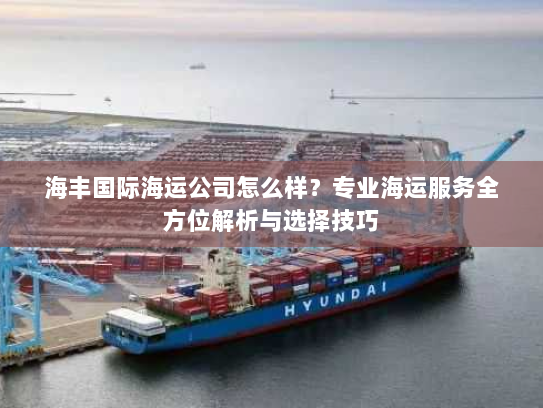 海丰国际海运公司怎么样？专业海运服务全方位解析与选择技巧