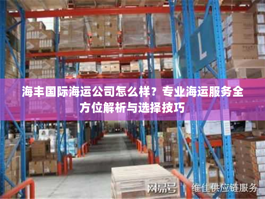 海丰国际海运公司怎么样？专业海运服务全方位解析与选择技巧