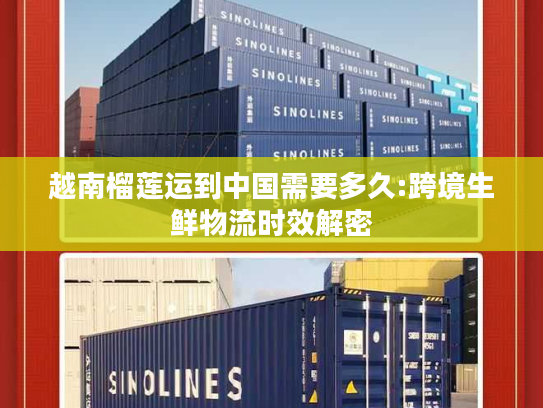 越南榴莲运到中国需要多久:跨境生鲜物流时效解密