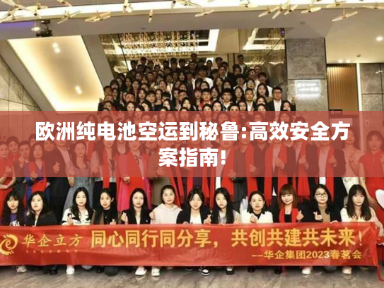 欧洲纯电池空运到秘鲁:高效安全方案指南!