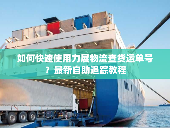 如何快速使用力展物流查货运单号？最新自助追踪教程