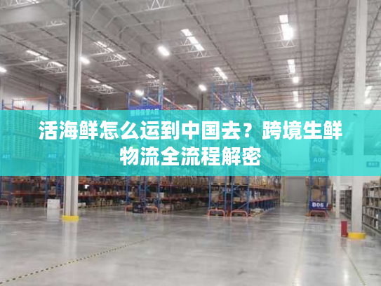 活海鲜怎么运到中国去？跨境生鲜物流全流程解密