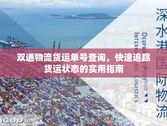 双通物流货运单号查询,快速追踪货运状态的实用指南 双通物流货运单号查询,快速追踪货运状态的实用指南