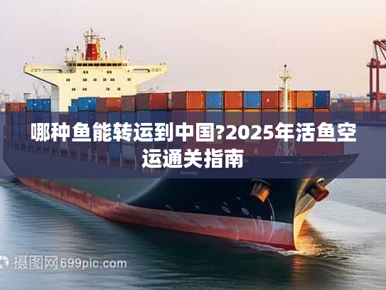 哪种鱼能转运到中国?2025年活鱼空运通关指南
