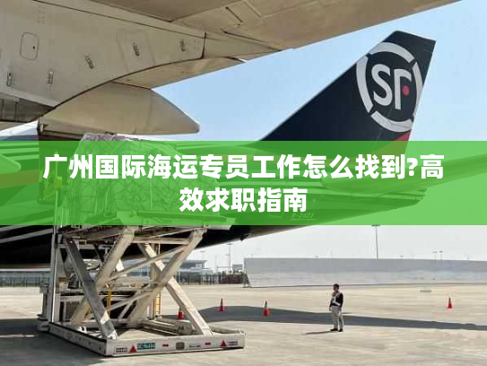 广州国际海运专员工作怎么找到?高效求职指南