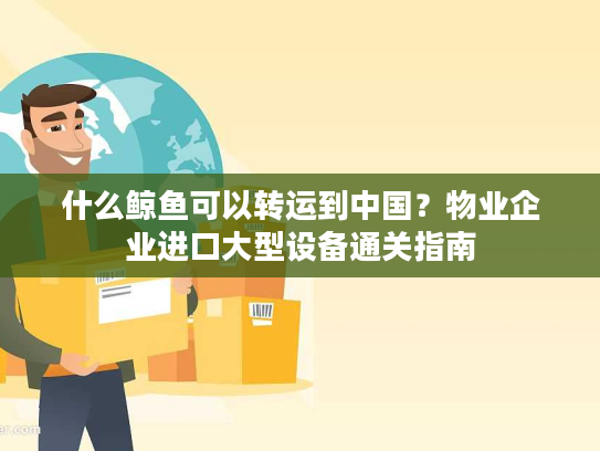 什么鲸鱼可以转运到中国？物业企业进口大型设备通关指南