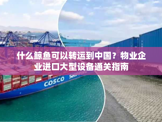什么鲸鱼可以转运到中国？物业企业进口大型设备通关指南