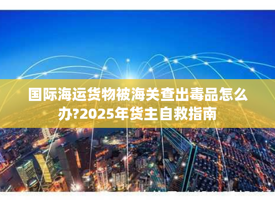 国际海运货物被海关查出毒品怎么办?2025年货主自救指南 国际海运货物被海关查出毒品怎么办?2025年货主自救指南