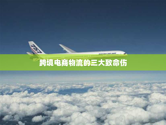 跨境电商物流的三大致命伤 跨境电商物流的三大致命伤