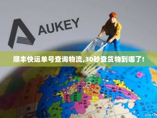 顺丰快运单号查询物流,30秒查货物到哪了!