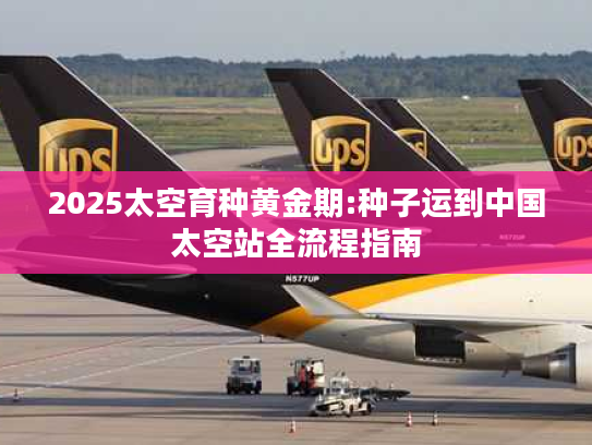 2025太空育种黄金期:种子运到中国太空站全流程指南