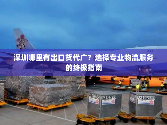 深圳哪里有出口货代广?选择专业物流服务的终极指南 深圳哪里有出口货代广?选择专业物流服务的终极指南