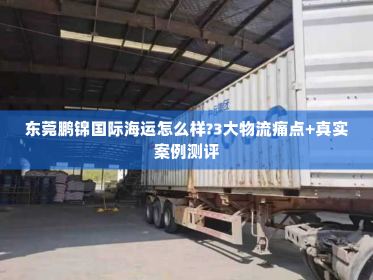 东莞鹏锦国际海运怎么样?3大物流痛点+真实案例测评 东莞鹏锦国际海运怎么样?3大物流痛点+真实案例测评