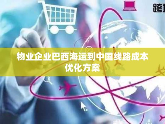 物业企业巴西海运到中国线路成本优化方案